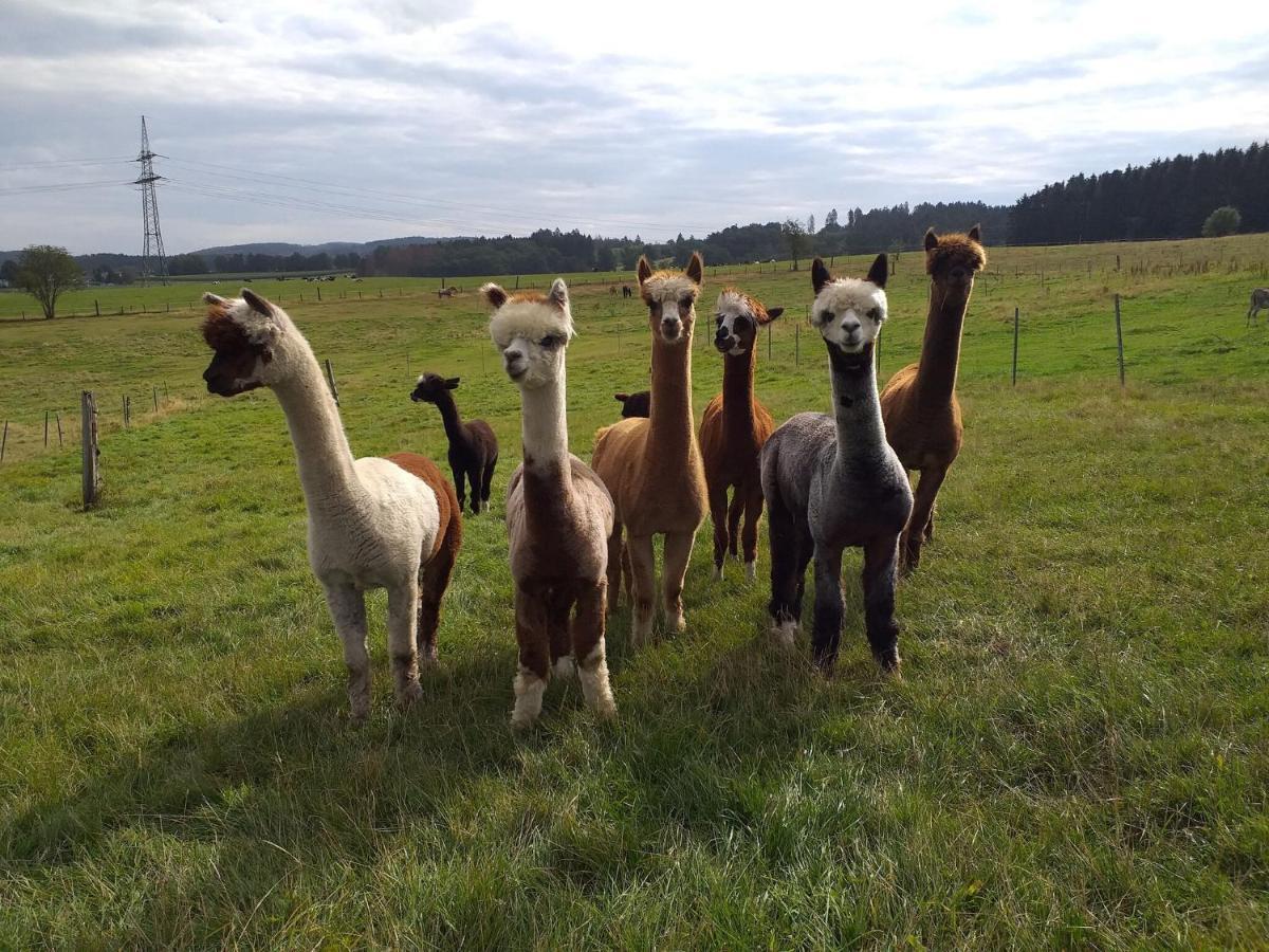 Apartment On An Alpaca Farm In Kierspe ภายนอก รูปภาพ